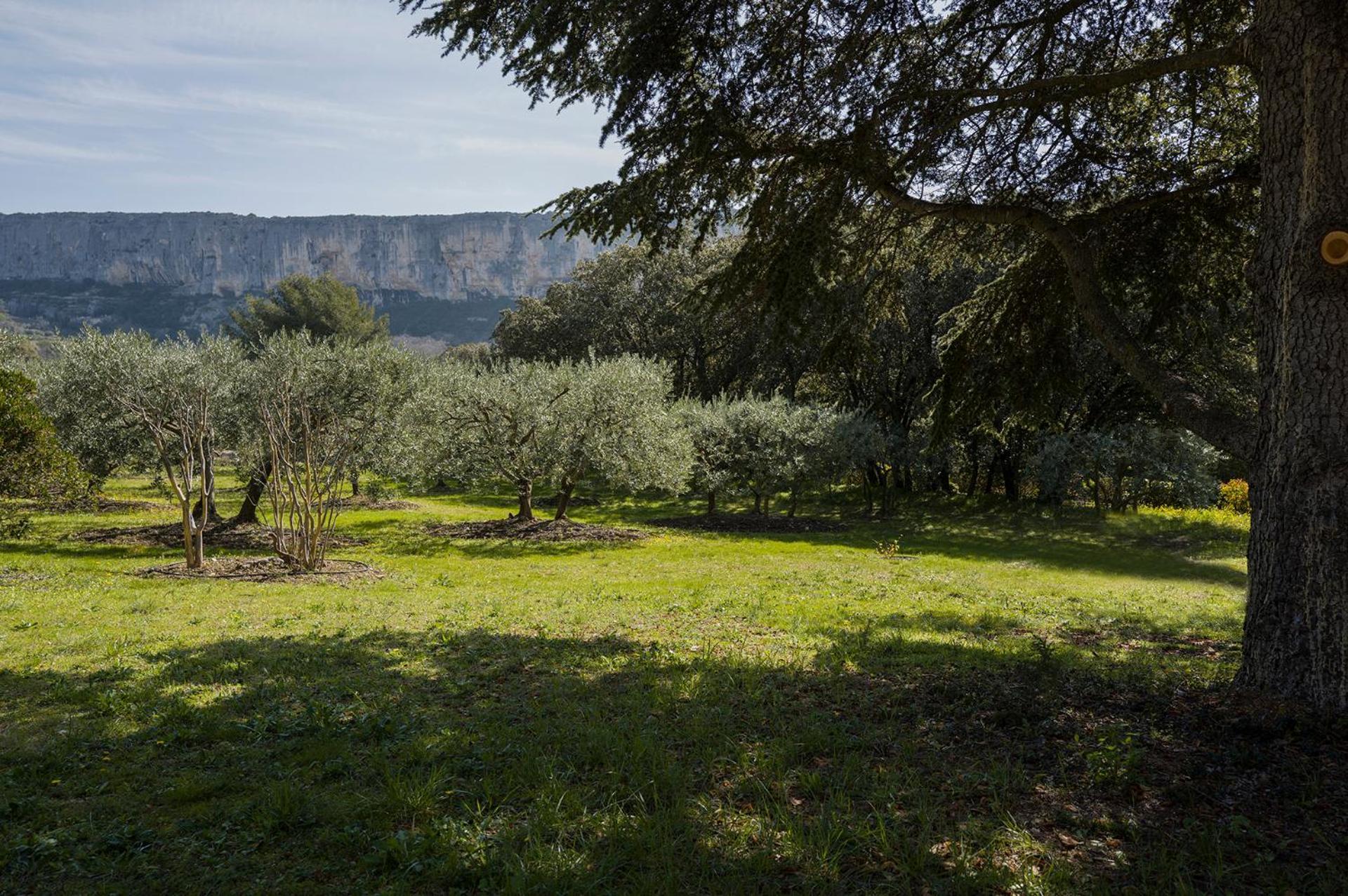 Les Cistes Villa Lioux Exterior photo